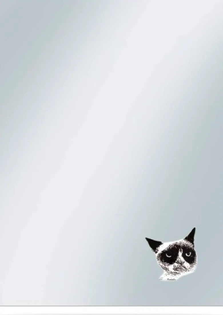 Koszulki Ochronne Zewnętrzne Grumpy Cat - 50szt