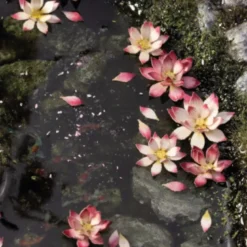 Laser Plants - Lotus Flower