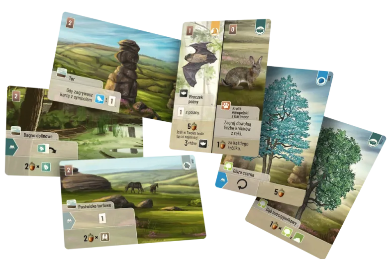 Leśne rozdanie: Dartmoor