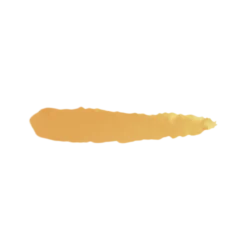 Light Skin - Farbka ScaleColor 17ml SC-18