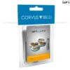 40mm Scenery Bases, Alpha Series