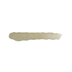 Nacar - Farbka ScaleColor 17ml SC-02