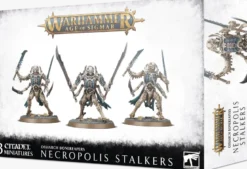 Ossiarch Bonereapers: Necropolis Stalkers
