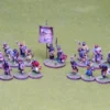 Pict Skirmish Warband for Saga