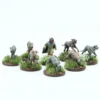 Saga: Pict/Scots Handler and Warhounds