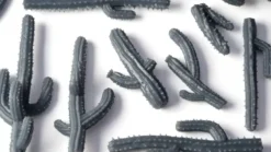 Saguaro Cacti - Basing Bits