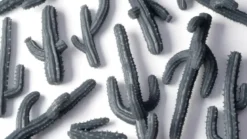 Saguaro Cacti - Basing Bits