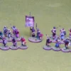 Scots Skirmish Warband for Saga