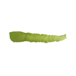 Sherwood Green - Farbka ScaleColor 17ml SC-44