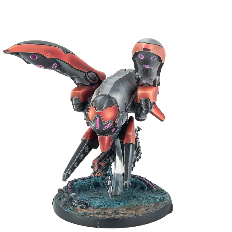 Skyhounds, Combat and Recon Air Squadron
