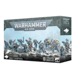 Space Wolves: Grey Hunters