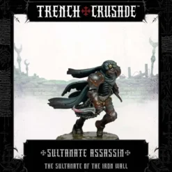 Sultanate of the Iron Wall Sultanate Assassin