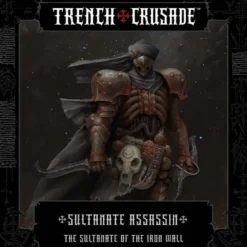 Sultanate of the Iron Wall Sultanate Assassin