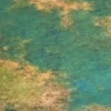 Swamp Gaming Mat 90x90 cm