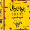 Ubongo Shimo