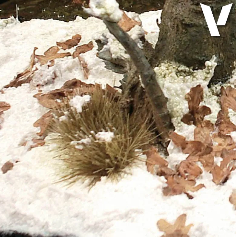 Vallejo Diorama FX - Snow 26.820 200ml.