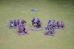 Visigoth 4 Point Saga Warband #1