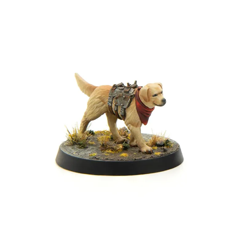 Wasteland Survivors Core Box (Plastic)