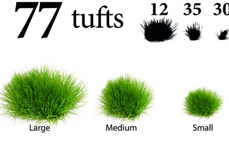 Woodland Tuft