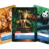 Zoo Tycoon